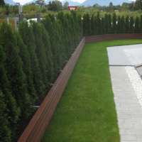 Blumentrog aus Affenholz